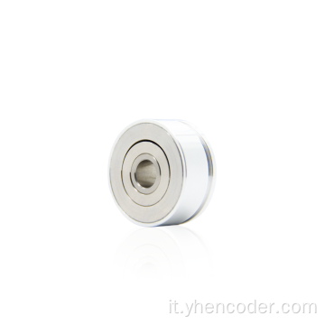 Encoder ad anello magnetico